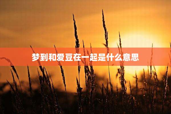 梦到和爱豆在一起是什么意思