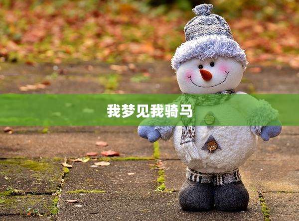我梦见我骑马
