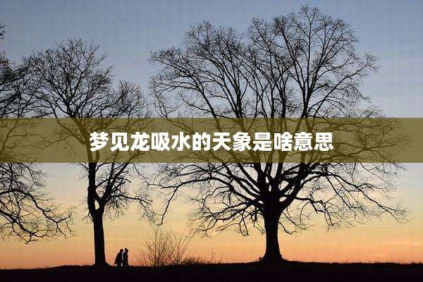 梦见龙吸水的天象是啥意思