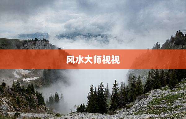 风水大师视视