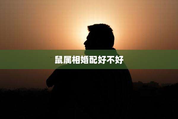 鼠属相婚配好不好