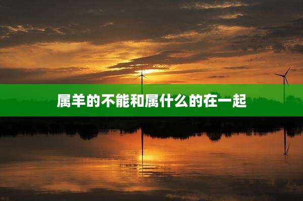 属羊的不能和属什么的在一起