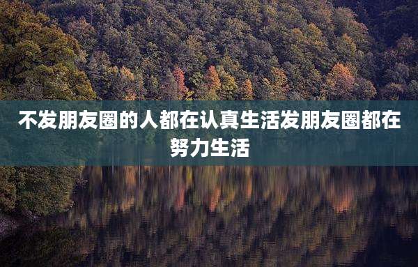 不发朋友圈的人都在认真生活发朋友圈都在努力生活