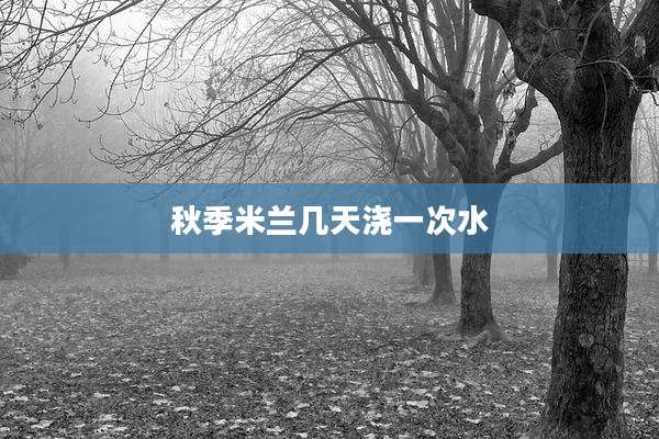 秋季米兰几天浇一次水