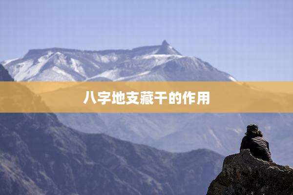 八字地支藏干的作用