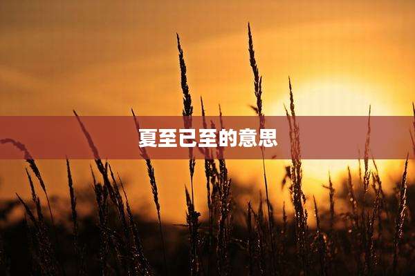 夏至已至的意思