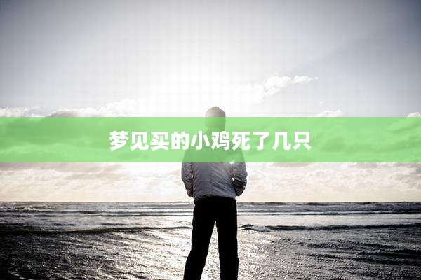 梦见买的小鸡死了几只