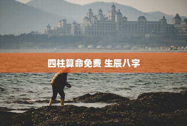 四柱算命免费 生辰八字