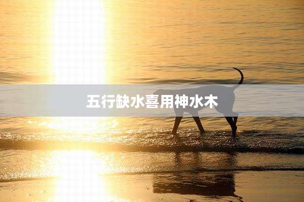 五行缺水喜用神水木