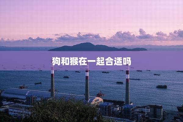 狗和猴在一起合适吗