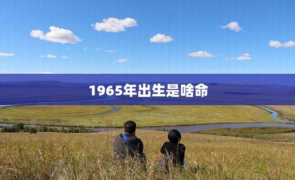 1965年出生是啥命