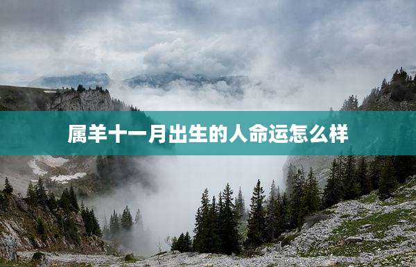属羊十一月出生的人命运怎么样