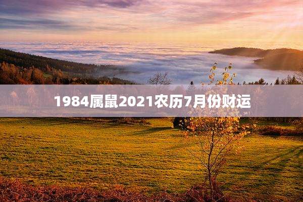 1984属鼠2021农历7月份财运