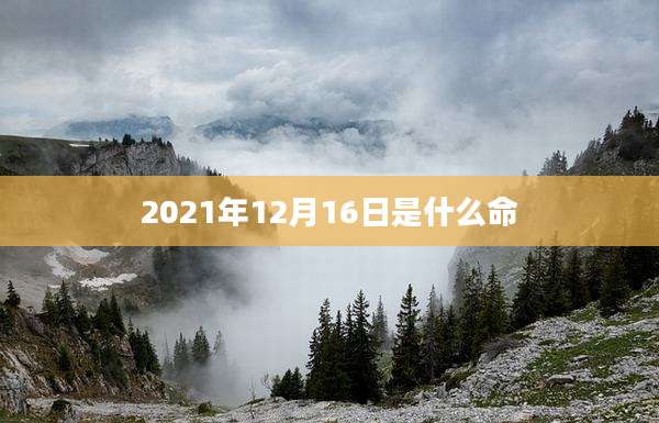 2021年12月16日是什么命