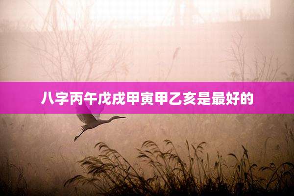 八字丙午戊戌甲寅甲乙亥是最好的