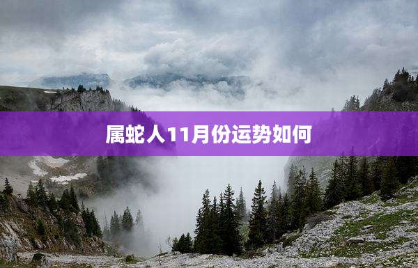 属蛇人11月份运势如何