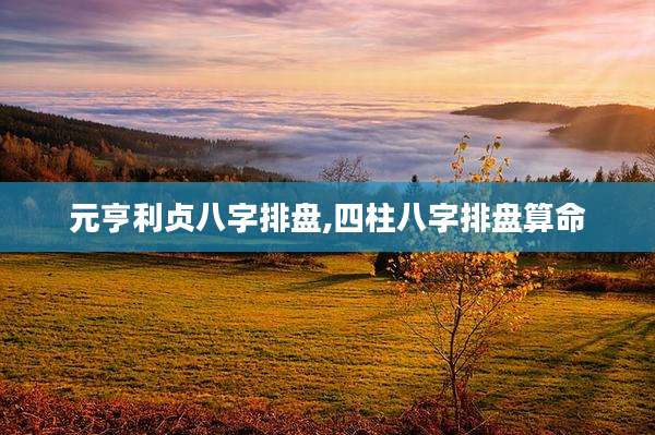 元亨利贞八字排盘,四柱八字排盘算命