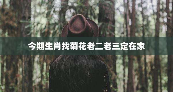 今期生肖找菊花老二老三定在家