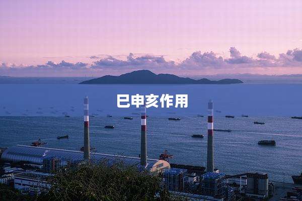 巳申亥作用