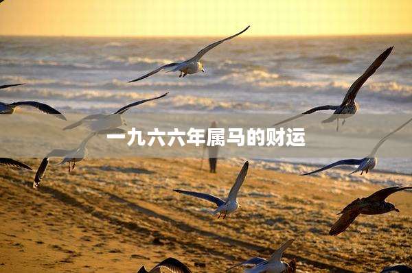 一九六六年属马的财运