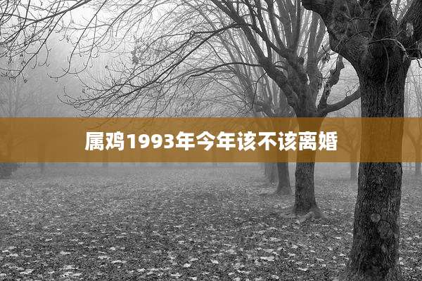 属鸡1993年今年该不该离婚