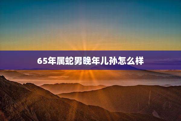 65年属蛇男晚年儿孙怎么样