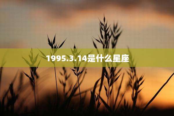 1995.3.14是什么星座