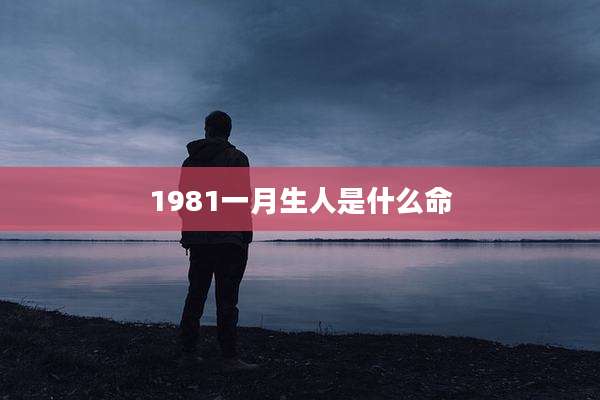 1981一月生人是什么命