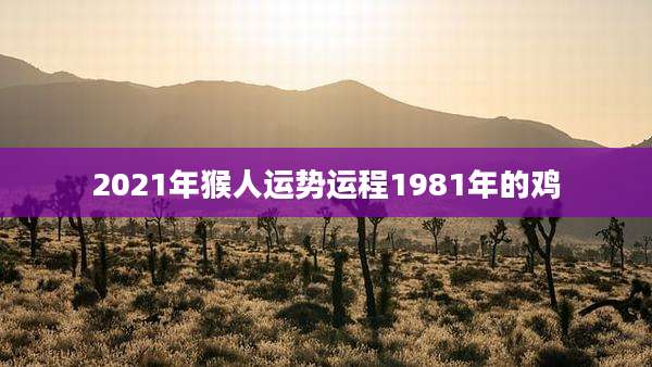 2021年猴人运势运程1981年的鸡