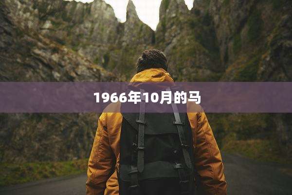 1966年10月的马