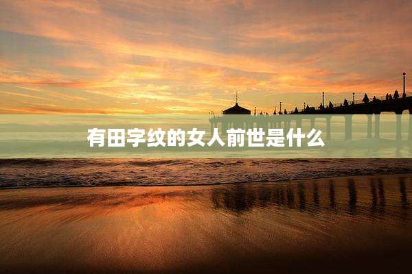 有田字纹的女人前世是什么