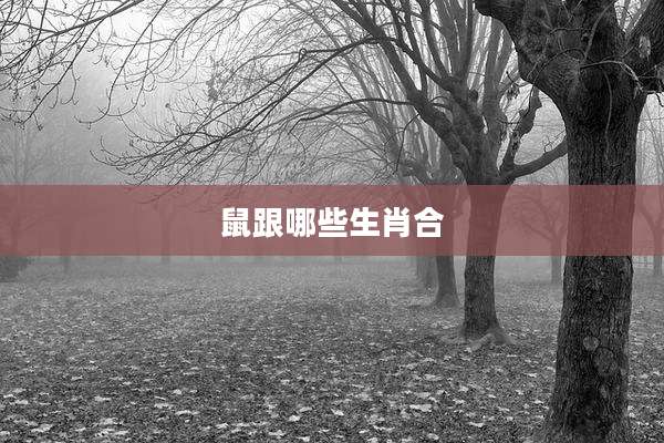 鼠跟哪些生肖合