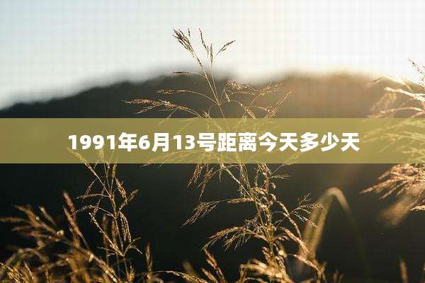 1991年6月13号距离今天多少天