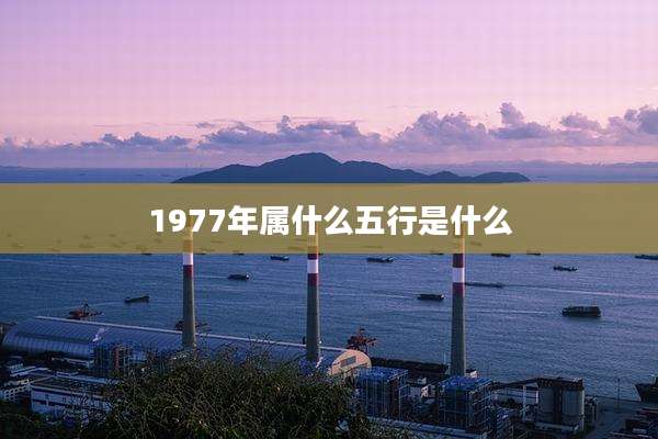 1977年属什么五行是什么