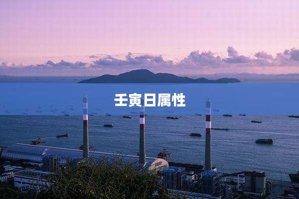 壬寅日属性