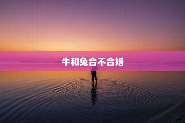 牛和兔合不合婚