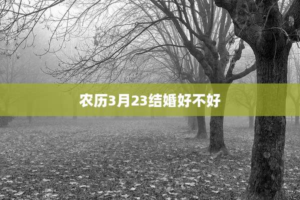 农历3月23结婚好不好