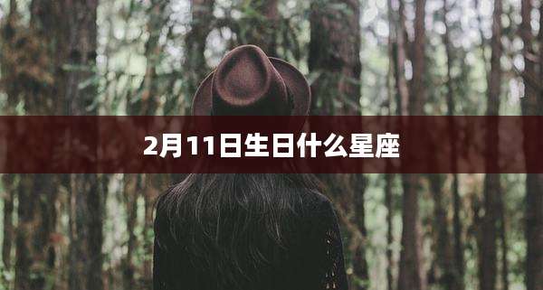 2月11日生日什么星座
