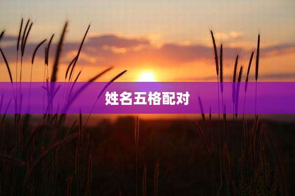 姓名五格配对