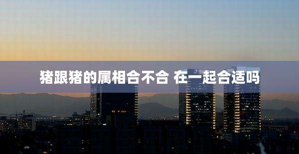 猪跟猪的属相合不合 在一起合适吗