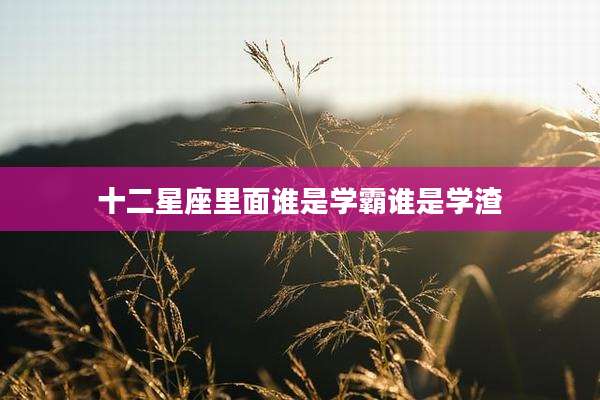 十二星座里面谁是学霸谁是学渣