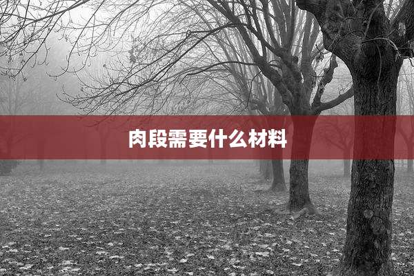 肉段需要什么材料