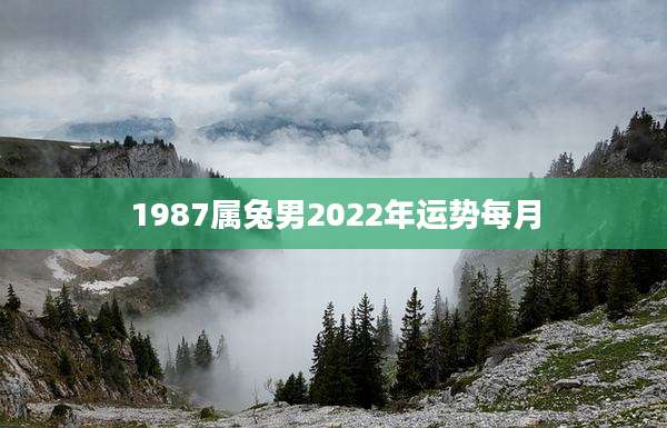1987属兔男2022年运势每月