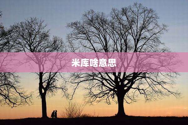 米库啥意思