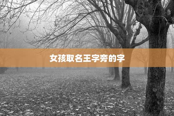 女孩取名王字旁的字