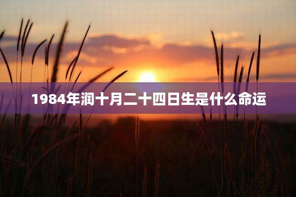 1984年润十月二十四日生是什么命运