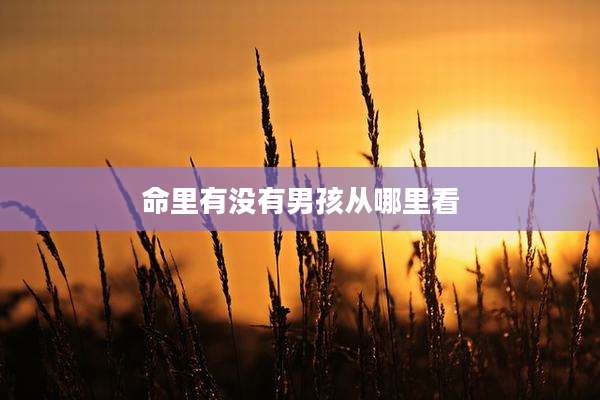 命里有没有男孩从哪里看