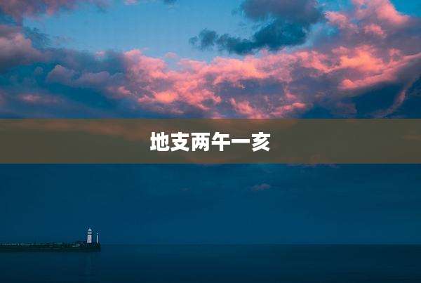 地支两午一亥