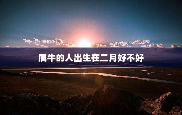 属牛的人出生在二月好不好