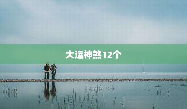 大运神煞12个